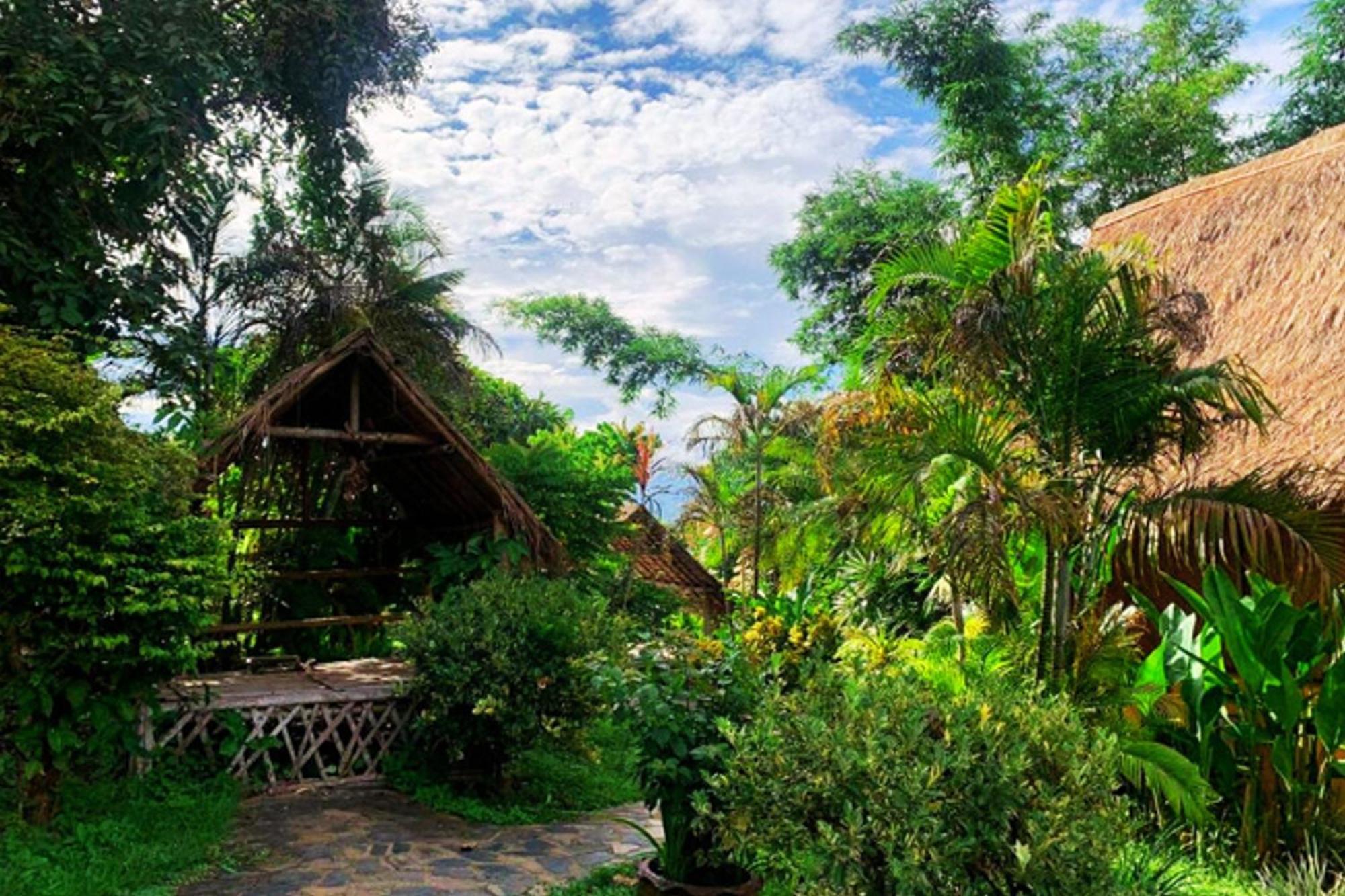Old Tree'S House Hotel Mae Ai Ngoại thất bức ảnh